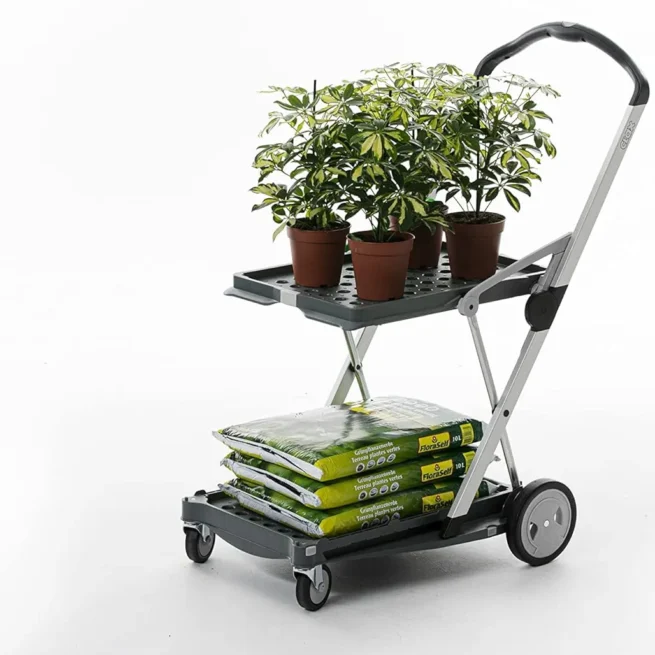 ๐ฅ๐พ๐ก๐๐๐ง๐๐ฃ๐๐ ๐๐ง๐๐๐ โฌ๐,๐๐๐ฅ๐๐ช๐ก๐ฉ๐๐ฅ๐ช๐ง๐ฅ๐ค๐จ๐ ๐๐ค๐ก๐๐๐ฃ๐ ๐พ๐๐ง๐ฉ๐ - Image 14